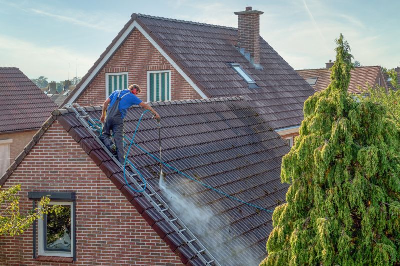 Roofline Cleaning